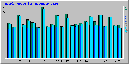 Hourly usage for November 2024