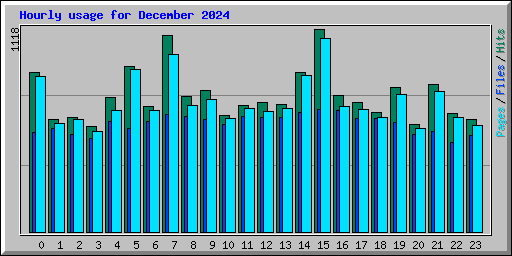 Hourly usage for December 2024