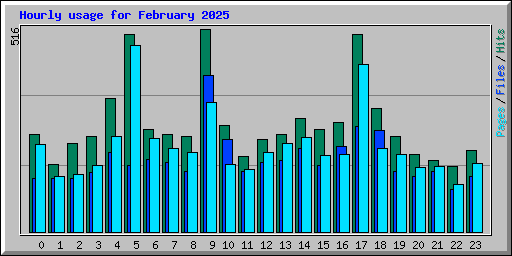 Hourly usage for February 2025