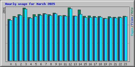 Hourly usage for March 2025