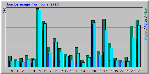 Hourly usage for June 2025