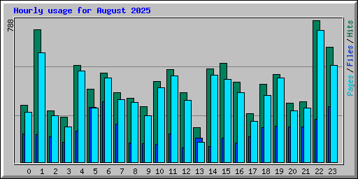 Hourly usage for August 2025