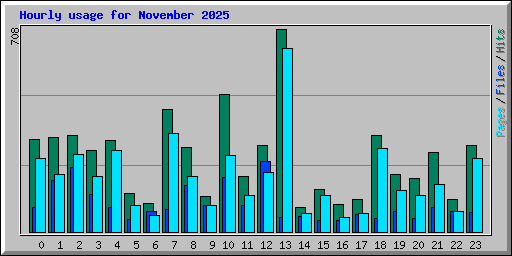 Hourly usage for November 2025