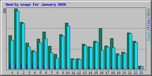 Hourly usage for January 2026