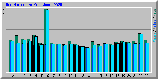 Hourly usage for June 2026